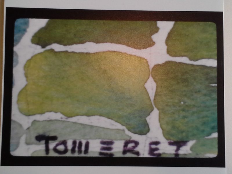 tom’s unique signature